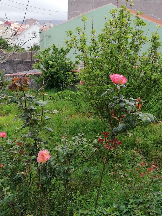 菲尼斯特雷 O Encontro旅舍 外观 照片